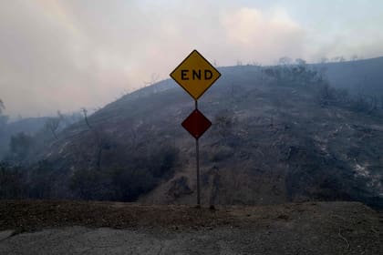 Así quedaron las zonas arrasadas por el fuego