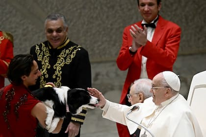 El papa Francisco acaricia a un perro del circo Rony Roller durante la audiencia general semanal en el Aula Pablo VI del Vaticano, el 15 de enero de 2025